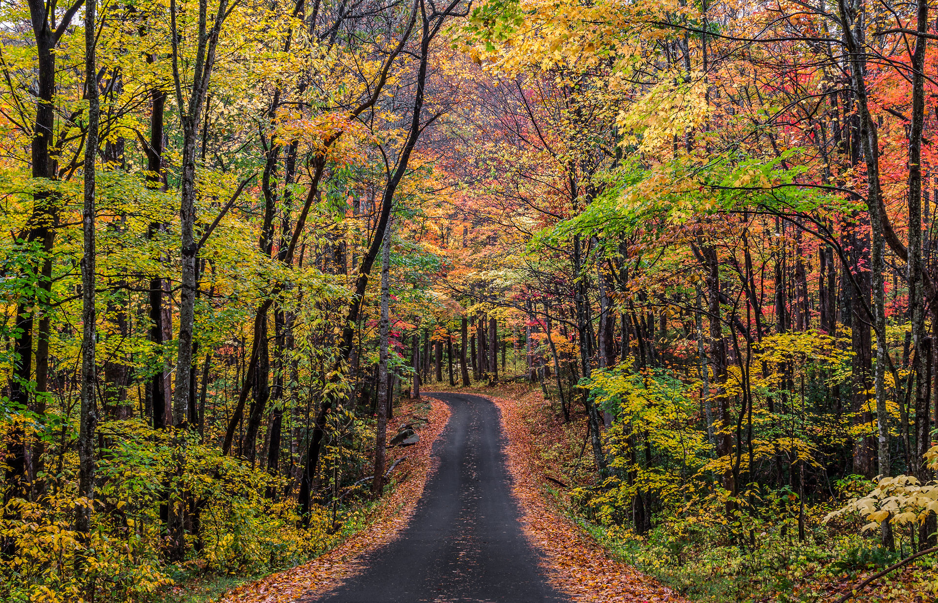 Tennessee Road